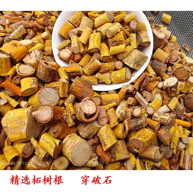 野生穿破石根 中药材 川破石九层皮 地棉根拉牛入石柘树根 穿破石