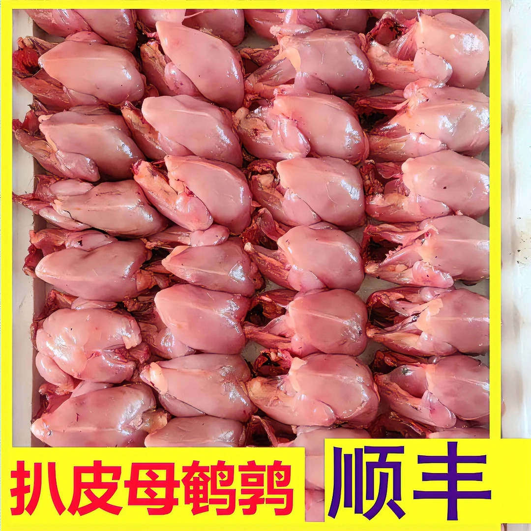 【顺丰】活杀扒皮大鹌鹑 新鲜鹌鹑肉速冻剥皮一只2两左右鹌鹑生骨肉