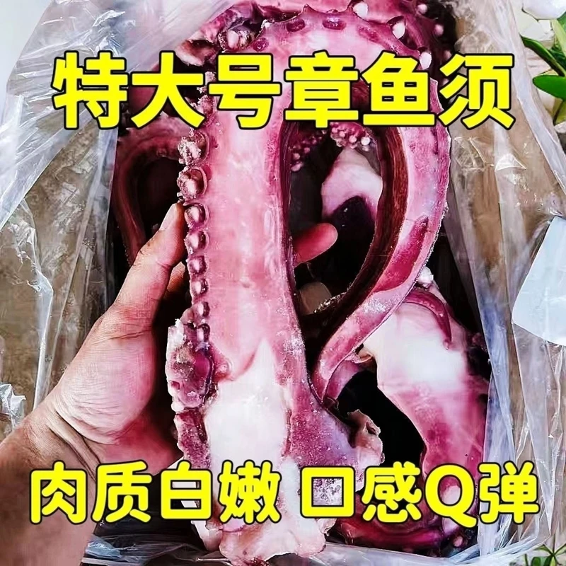 【超大号鱿鱼须】精选美味鱿鱼须新鲜冷冻火锅烧烤脆嫩食材特大号