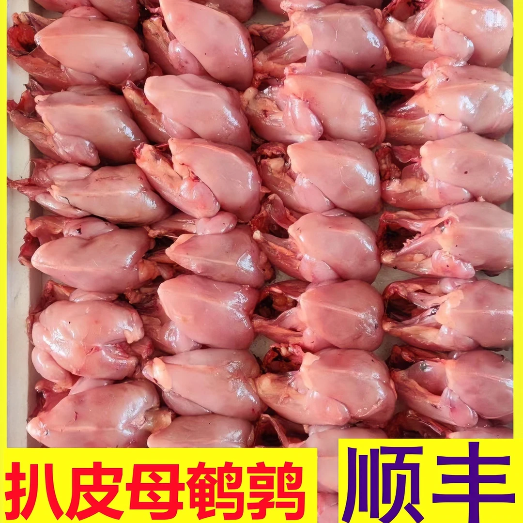【顺丰】活杀扒皮大鹌鹑 新鲜鹌鹑肉速冻剥皮一只2两左右鹌鹑生骨肉