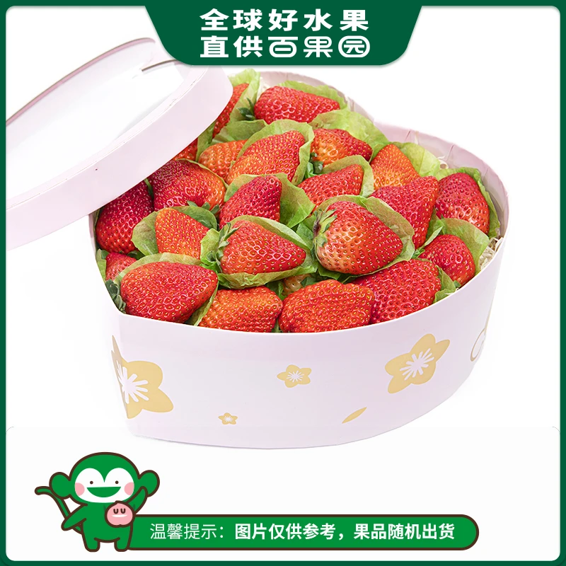 【粉色心形礼盒】招牌-红芭蕾草莓（大）1份/约1.2kg