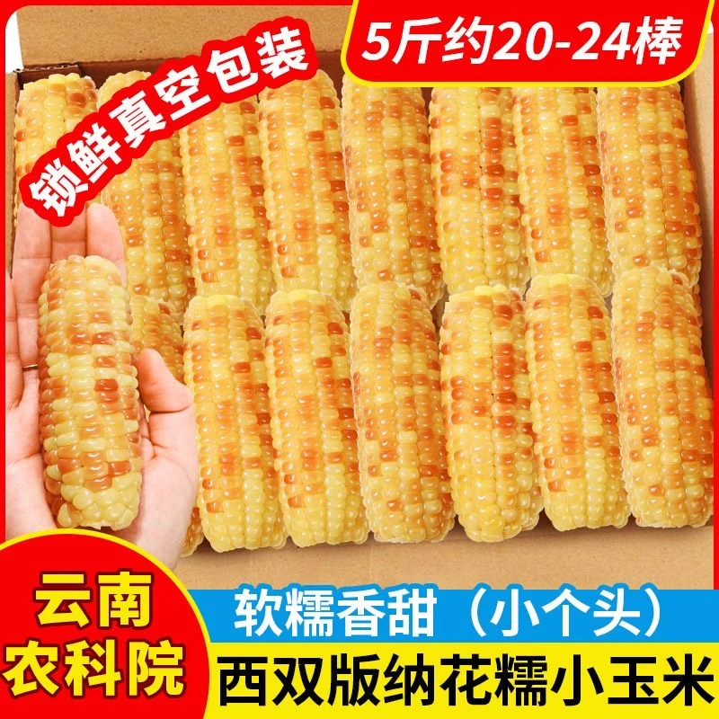 5斤农科院云南西双版纳香糯小玉米新鲜真空软糯彩色非转基因玉米