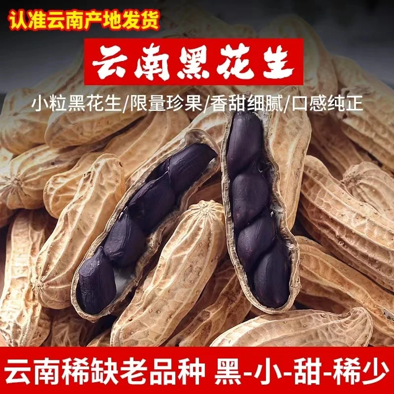黑花生新货云南特产干货美食品质水果黑皮衣花生米带壳厂地直供