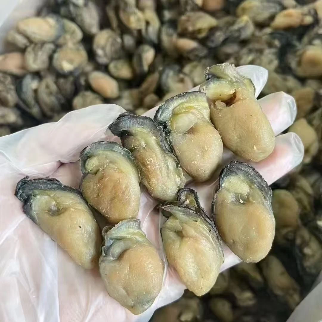 生蚝干海蛎子干牡蛎干特产淡干海产干货现货甄选海鲜干货火锅食材
