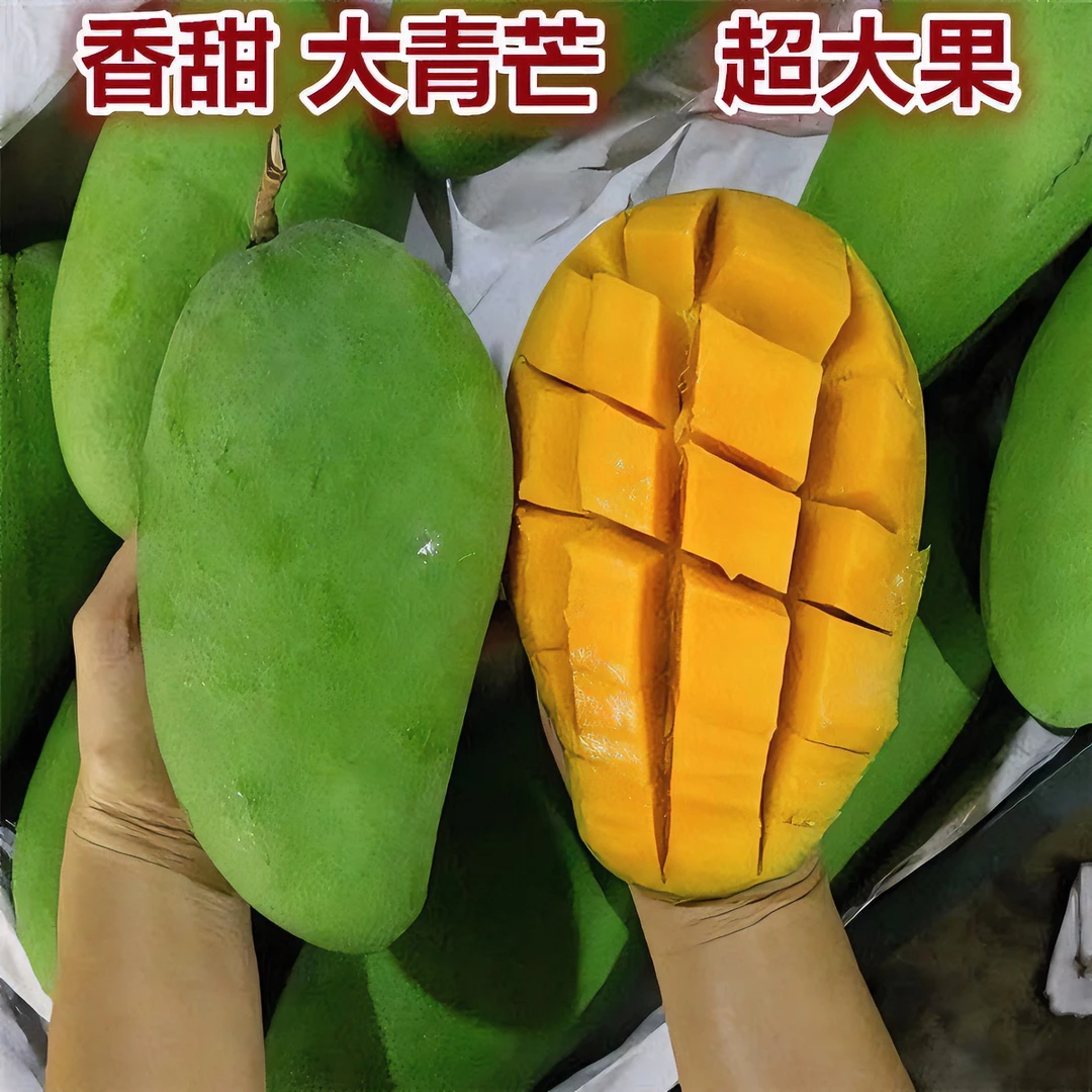 果园直发新鲜芒果水果应季大青芒特大青皮香甜多汁果肉饱满整箱装