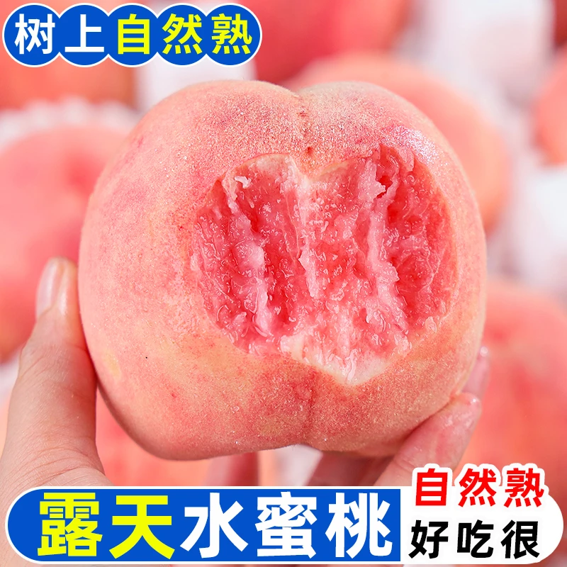 【御品一园】山西运城水蜜桃当季新鲜水果桃子整箱包邮毛桃批发