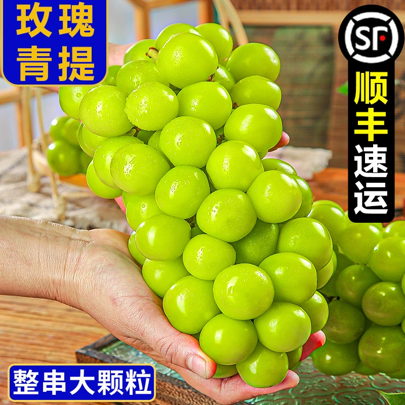 【御品一园】阳光玫瑰葡萄新鲜水果应季孕妇青提晴王香印顺丰包邮