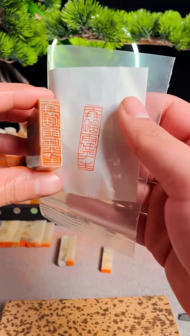 【闪购商品】书法手工篆刻《一蓑烟雨任平生》多字