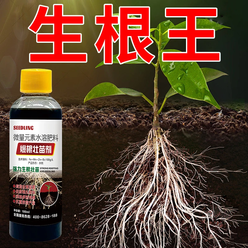 生根王快速生根剂爆根壮苗剂植物通用型生根粉花卉蔬菜果树叶面肥