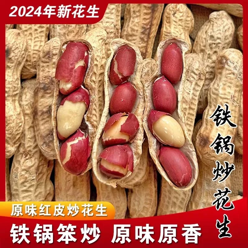 2025年农家铁锅炒花生带壳新鲜炒货花生带壳现炒现卖咸香酥脆花生