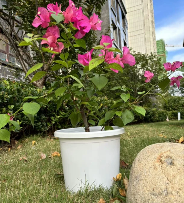 加厚环保超大口径树脂直径四季花盆耐晒控根塑料花盆栽花种树