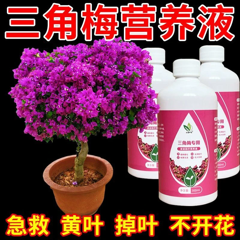 三角梅催花营养液专用肥专用养花卉通用型梅花促花保花腊梅催花素