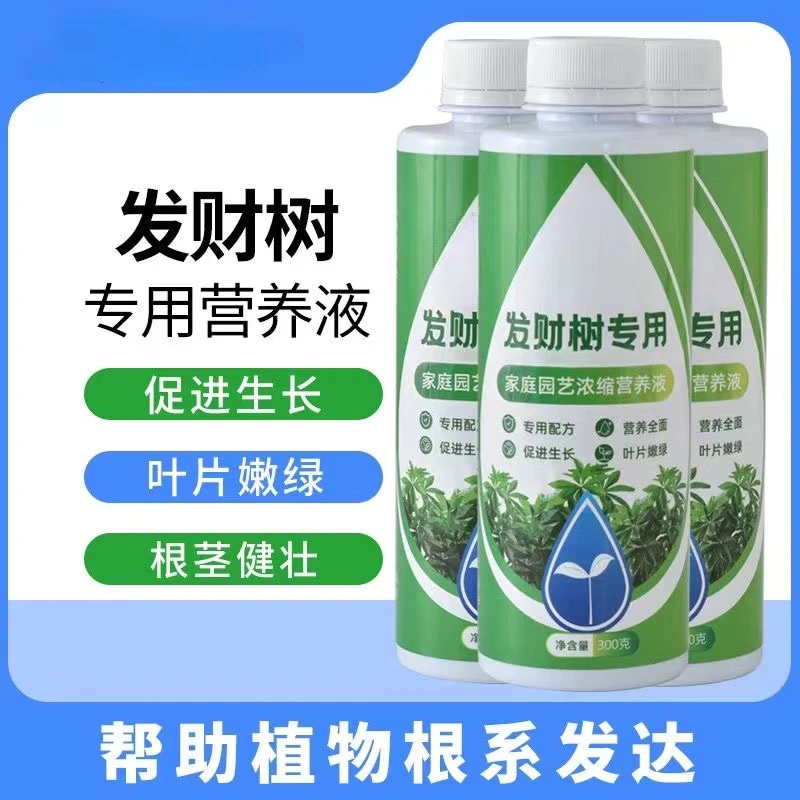 发财树营养液专用肥花肥料室内盆栽植物金钱树土水培通用绿植家用