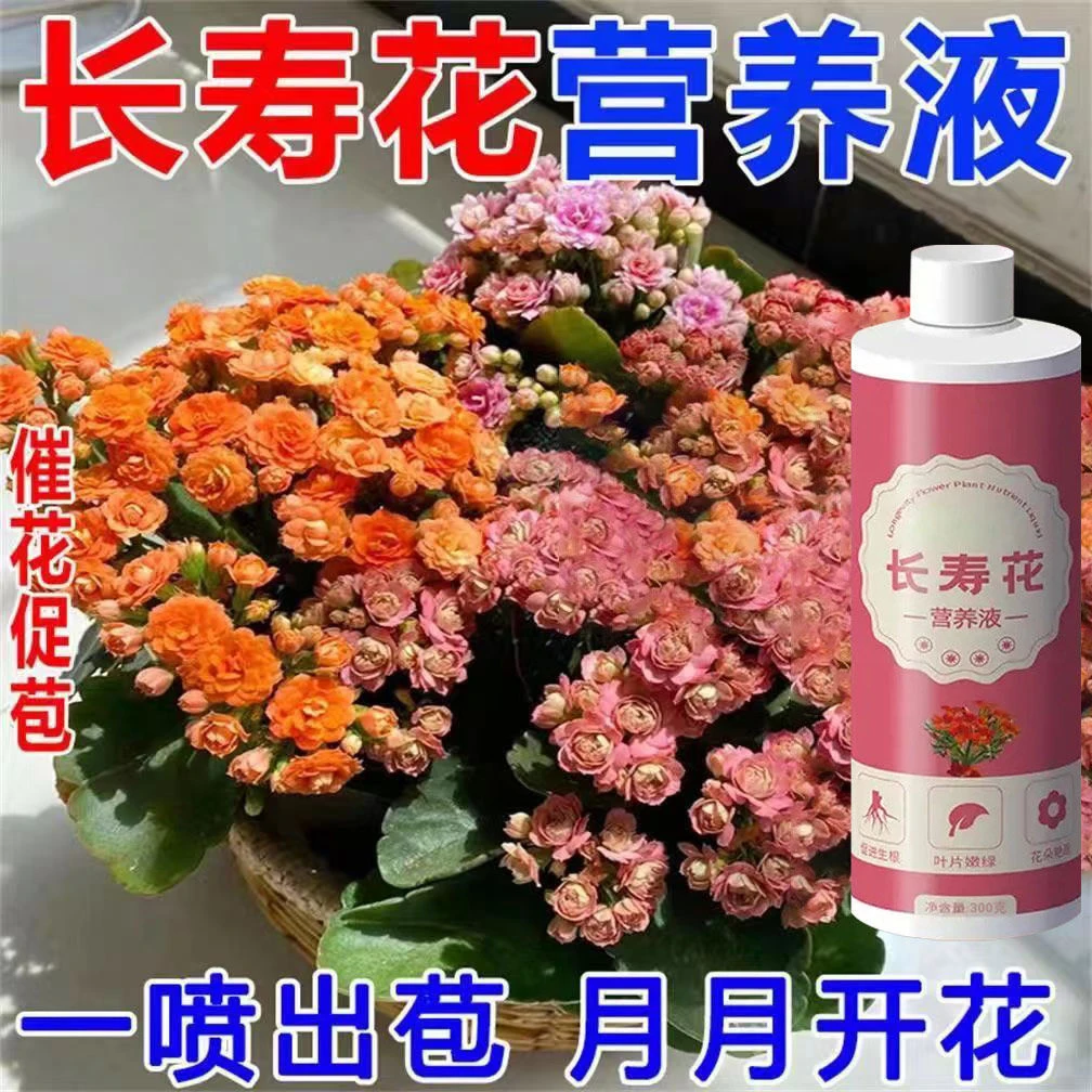 长寿花植物营养液专用肥料生长防烂根长效肥通用营养液花朵艳丽