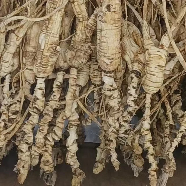 长白山原生态高年头林下参晒参泡酒煲汤打粉送礼珍品