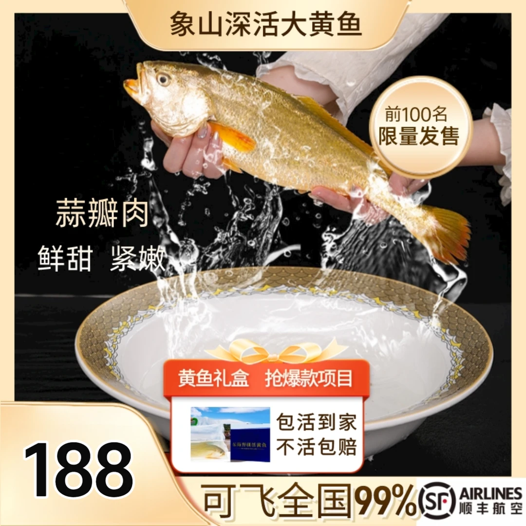 【东海活黄鱼礼盒】象山鲜活半野生大黄鱼正宗深海七两黄花新鲜包活