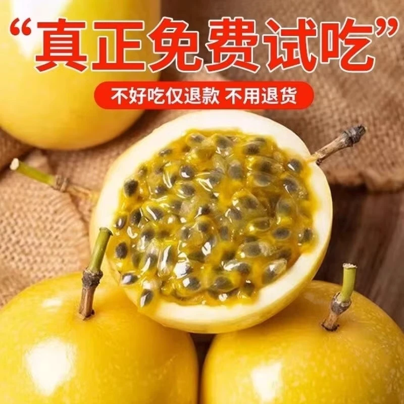广西钦蜜9号百香果香甜多汁美味黄金百香果农家种植现摘现发