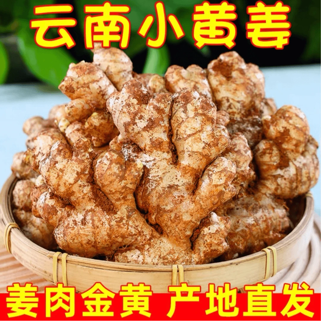 云南小黄姜新鲜生姜老姜现挖高