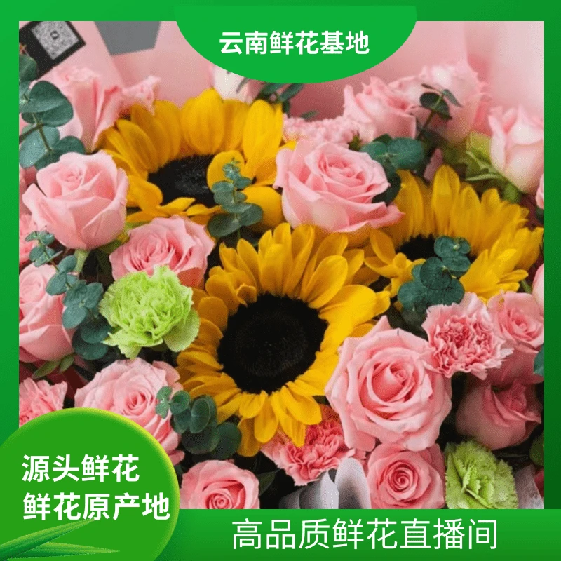 颜花【戴安娜+小菊】云南鲜花基地直发