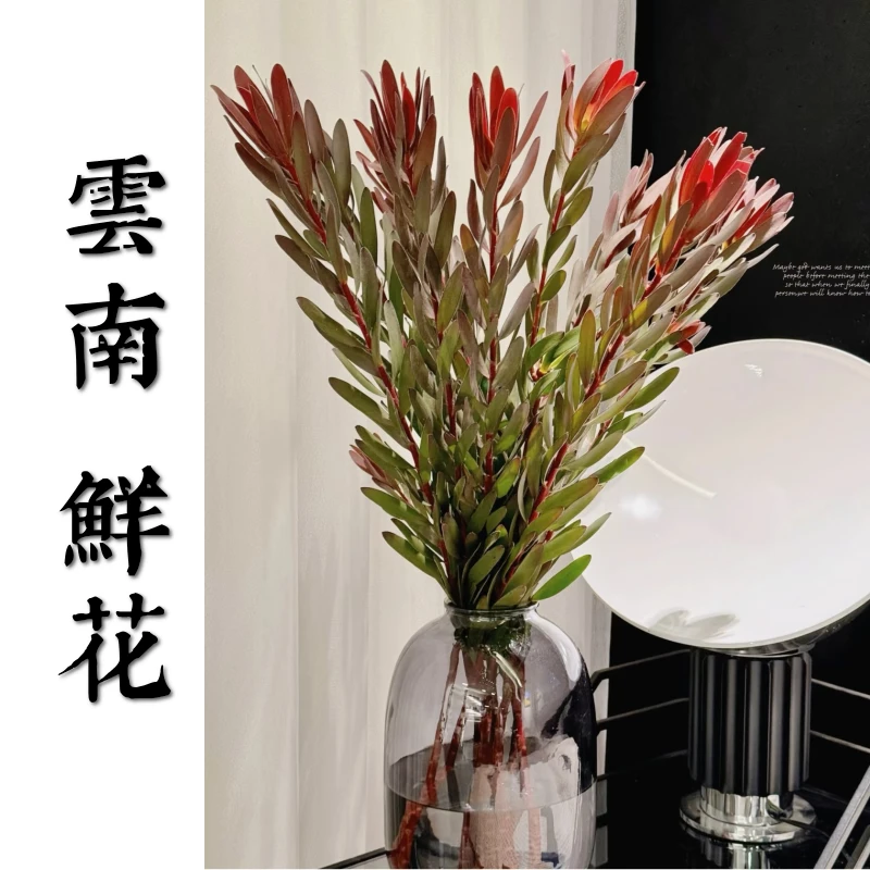 鲜花甄选【木百合】 云南鲜花基地直发