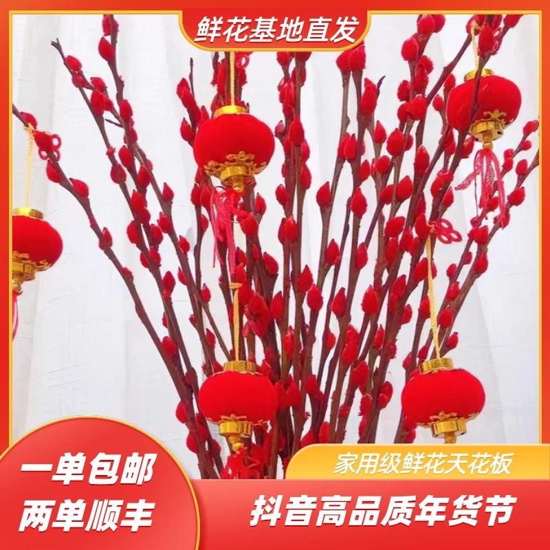 【喜庆过年银柳福利】云南鲜花基地直发(吸染) 一单发中通