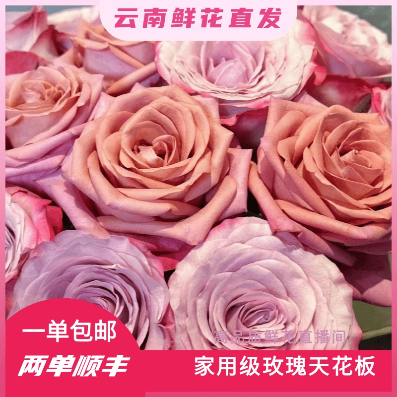 颜花专属 【调香师+气场玫瑰福利】云南鲜花基地直发 收到深水醒花~