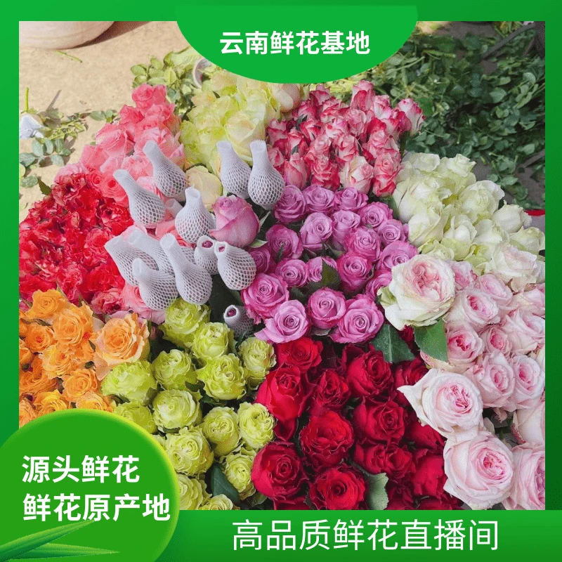 颜花【30支玫瑰福利】云南鲜花任意两单鲜花升级冷链或空运送货上门