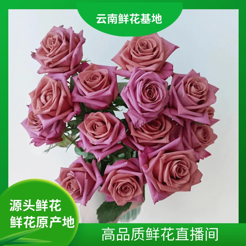 颜花【调香师玫瑰】云南鲜花 任意两单鲜花升级冷链或空运送货上门