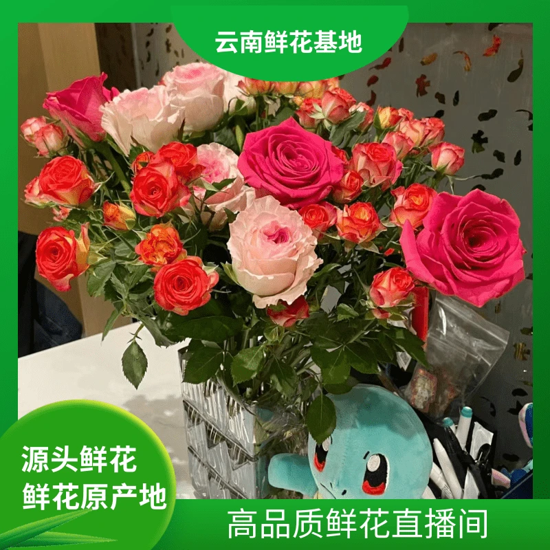 颜花【洛神+爱丽丝】云南鲜花基地 两单升级顺丰/空运