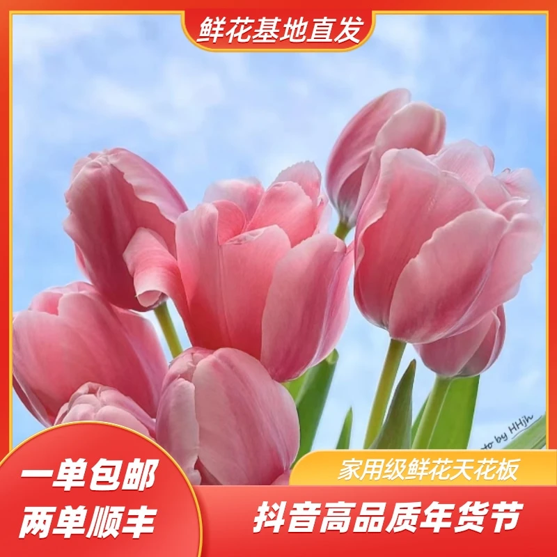 【郁金香福利】云南鲜花基地直发 已出货及拒收不售后