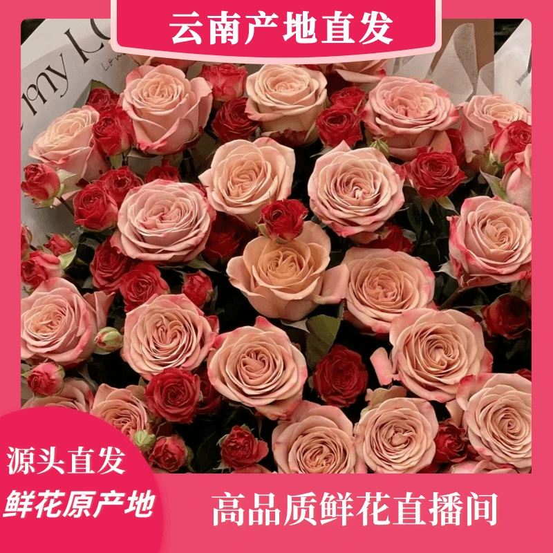 颜花专属【卡布奇诺+巧克力泡泡+桔梗】云南鲜花基地直发