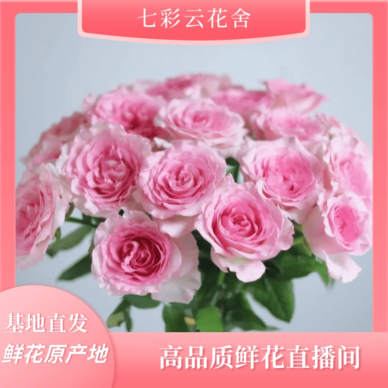 七彩云花【洛神+绣球+桔梗】云南基地鲜花  收到深水醒花