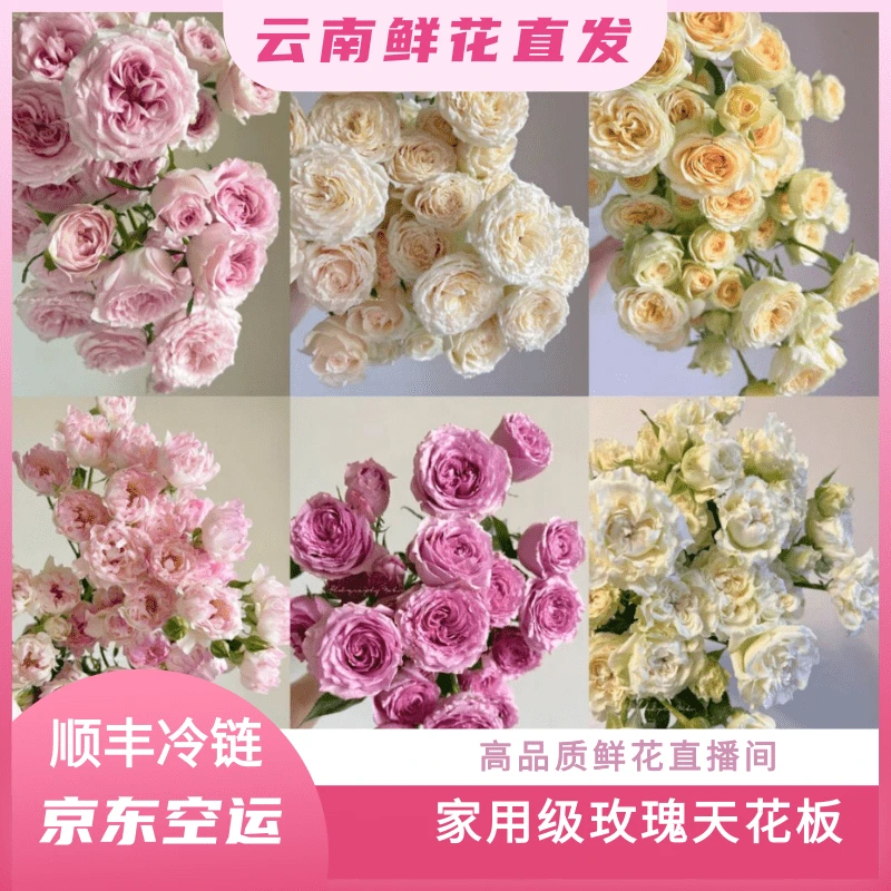 颜花专属【随机多头泡泡30支福利】云南鲜花基地顺丰包邮直发