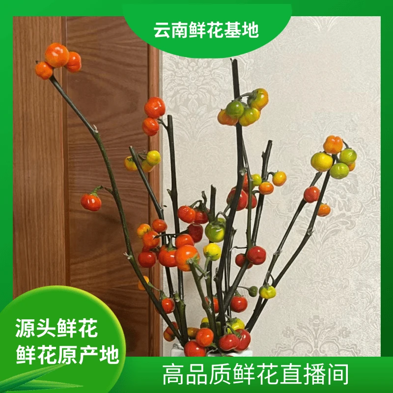 颜花【柿柿如意】小番茄云南鲜花基地直发