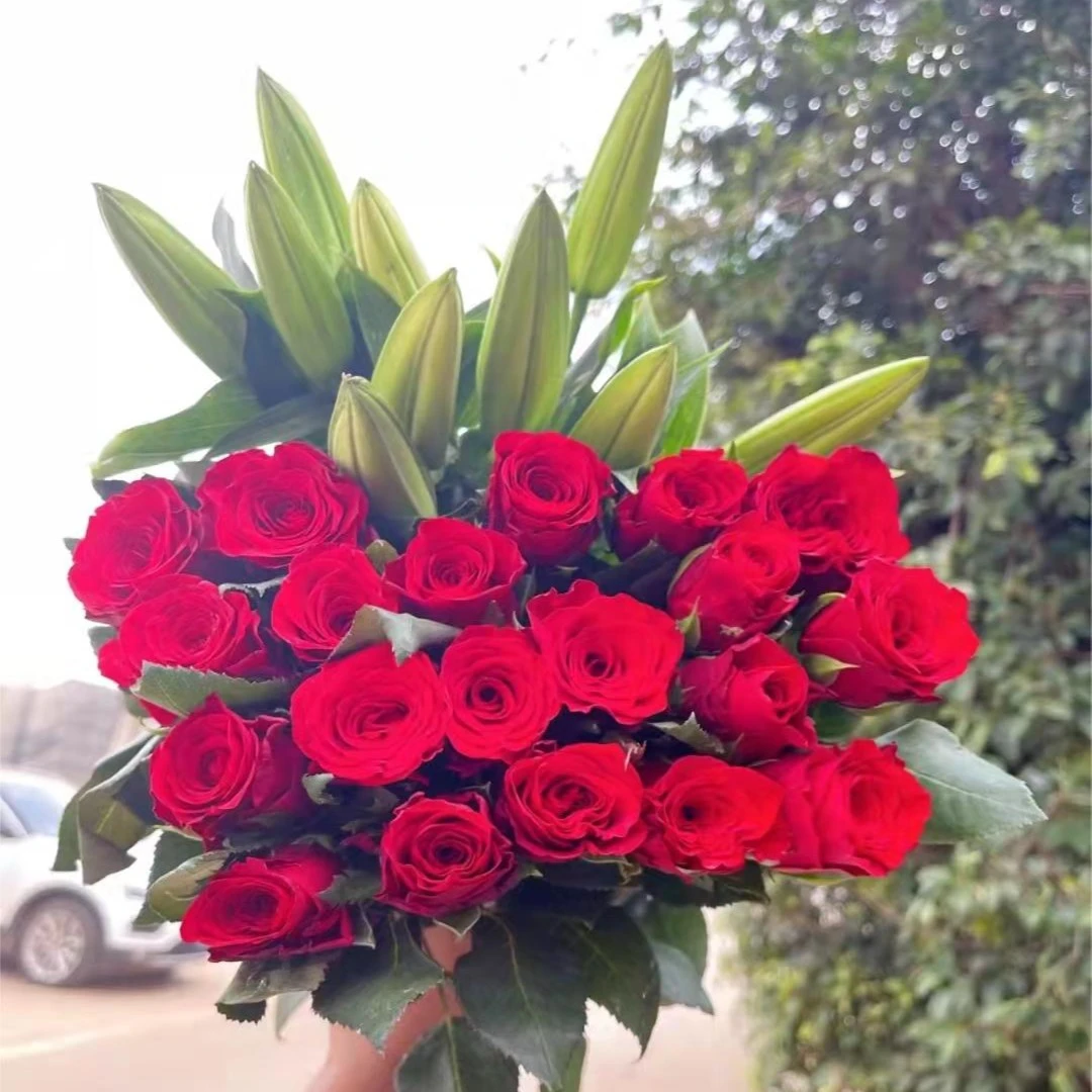 浪漫七夕【红玫瑰+百合】云南鲜花基地直发