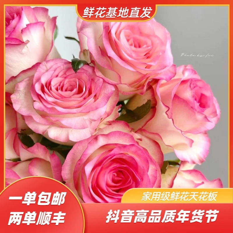 【艾莎玫瑰+泡泡福利】云南鲜花基地直发 已出货拒收不售后