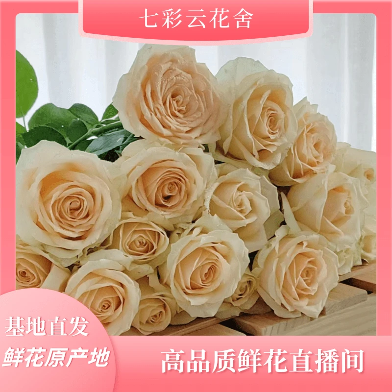 七彩云花【香槟玫瑰福利】