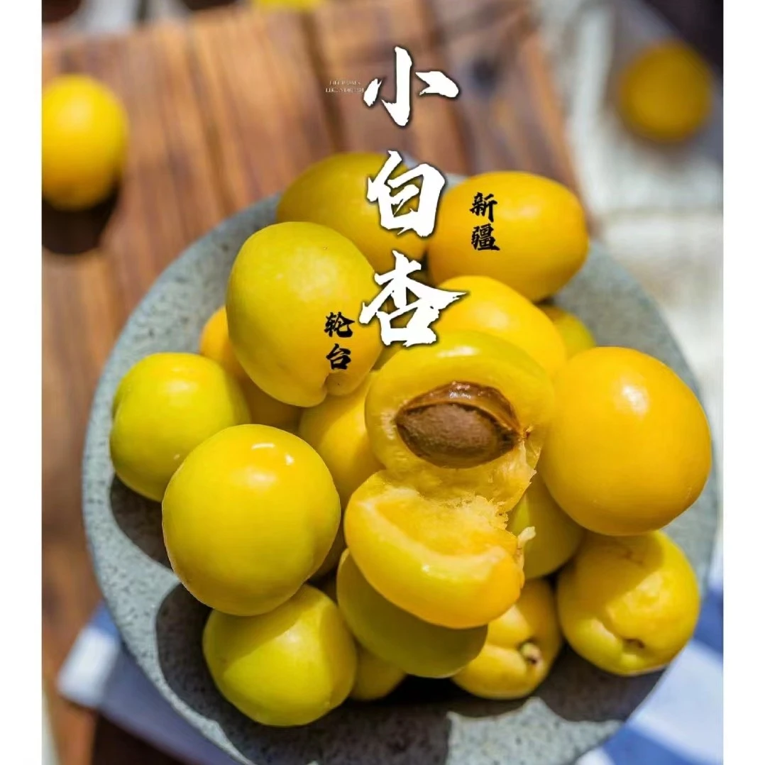 配送到家）新疆小白杏一箱
