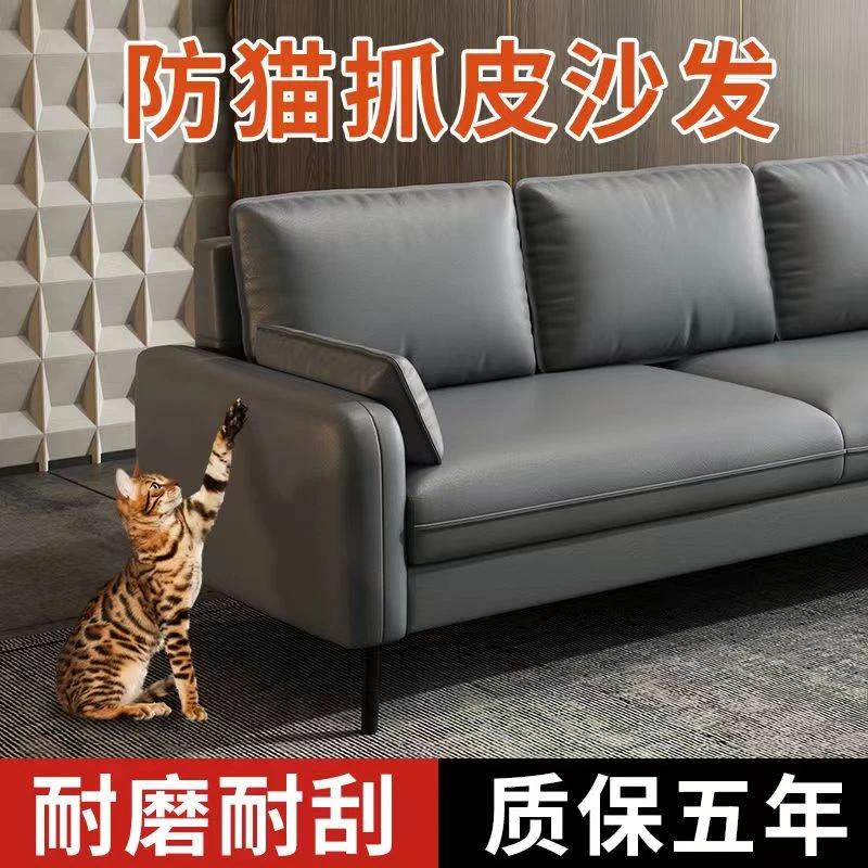 2023新款轻奢意式小户型客厅卧室公寓出租房服装店猫抓皮多人沙发