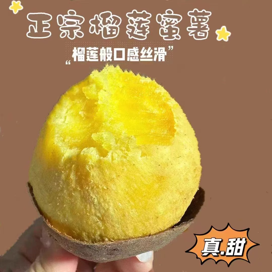 正宗黄金榴莲蜜薯糖心红薯新鲜正品火山鸣门地瓜沙地黄心番薯批发