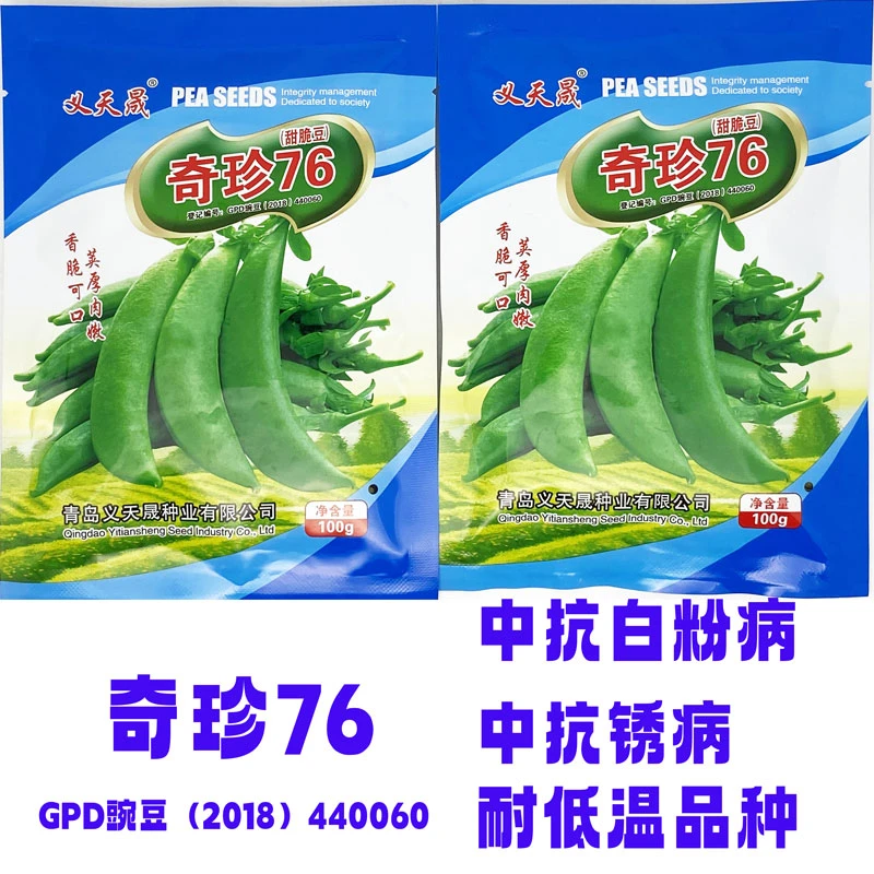 义天晟奇珍76甜豌豆种籽高产抗病耐低温早熟甜脆豌豆种子原装