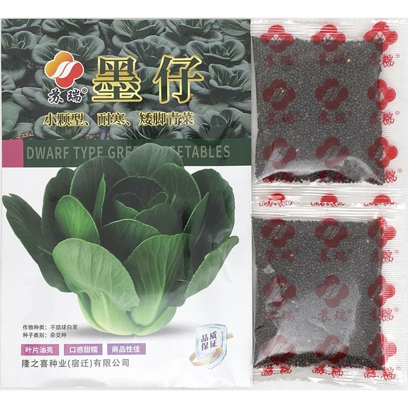 墨仔精黑矮脚青菜种籽高产耐寒矮箕束腰小颗型黑菜种子50克原装
