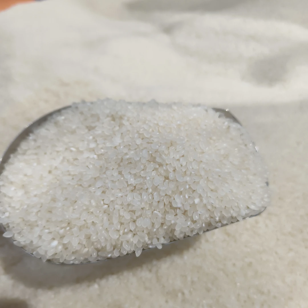 散称大米米饭王500g一份