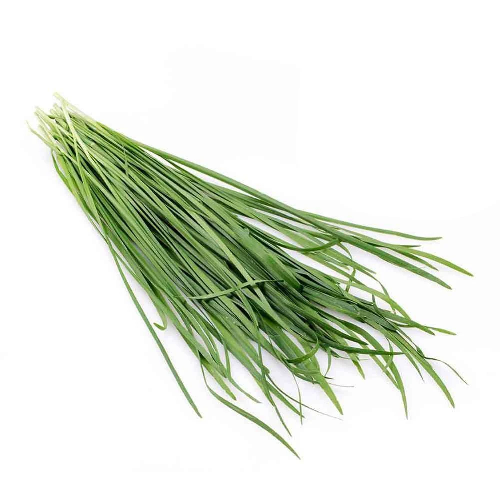 城市蔬菜韭菜500g