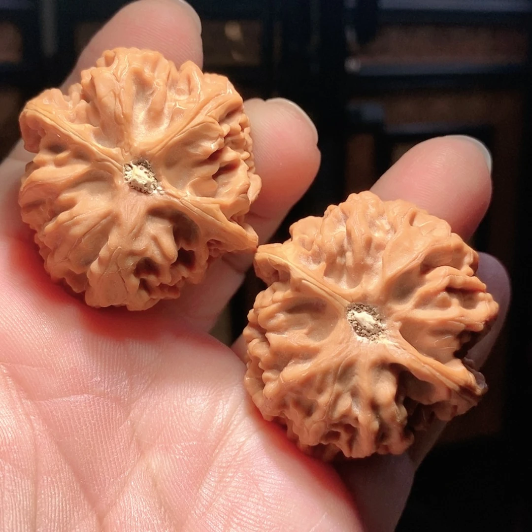 【闪购商品】文玩核桃把件40.5苹果圆