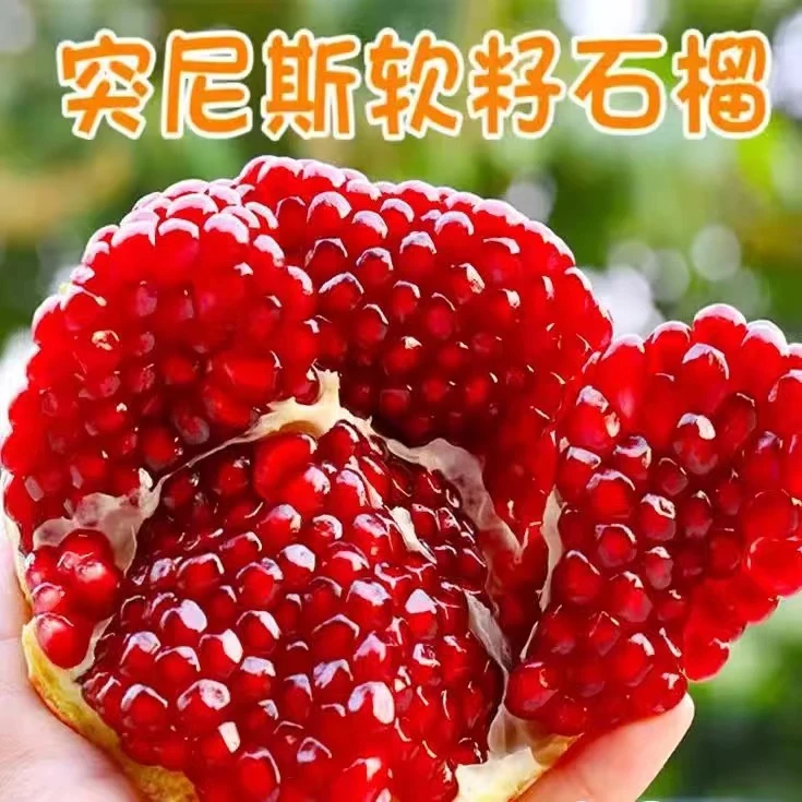 四川会理突尼斯软籽石榴带箱5斤单果300g+新鲜应季水果坏果包赔