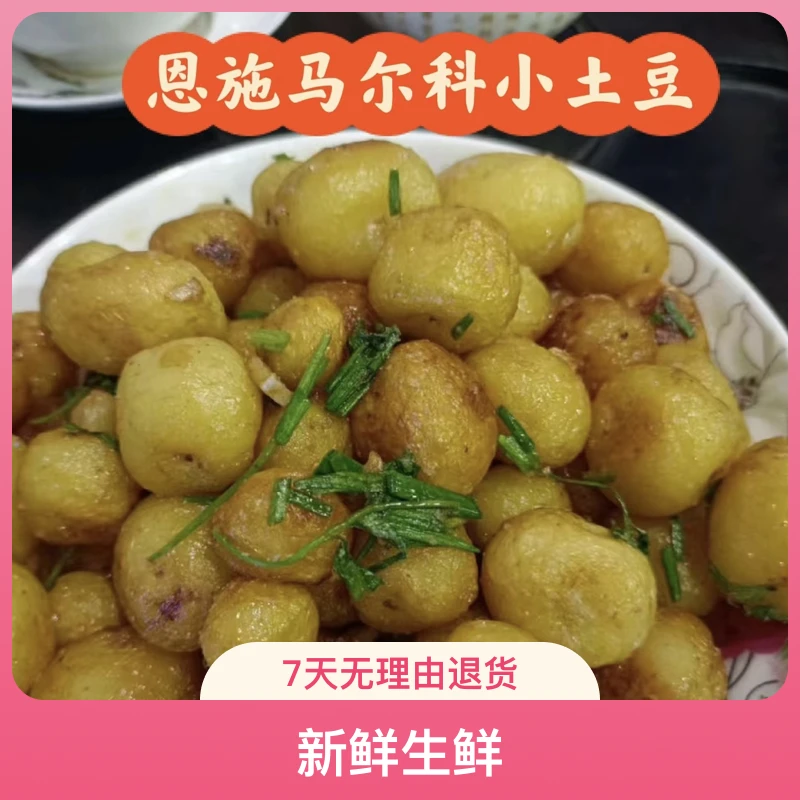 恩施本地马尔科小土豆