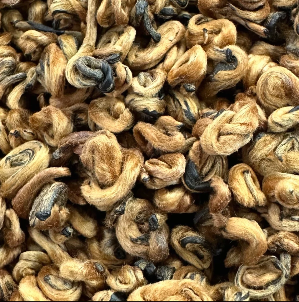 滇红大金螺 一两装 云南凤庆产区