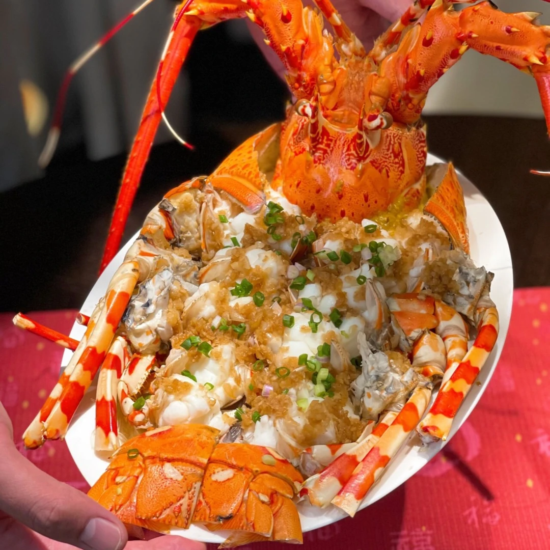 活冻大花龙龙虾 1.5斤左右/只 澳洲龙虾 东山岛直达