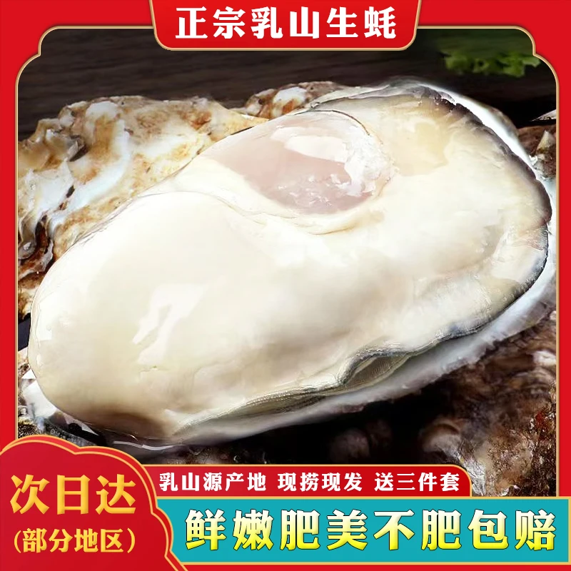 【1快递到家】正宗乳山生蚝原产地直发新鲜牡蛎生鲜海鲜刺身 5斤/箱